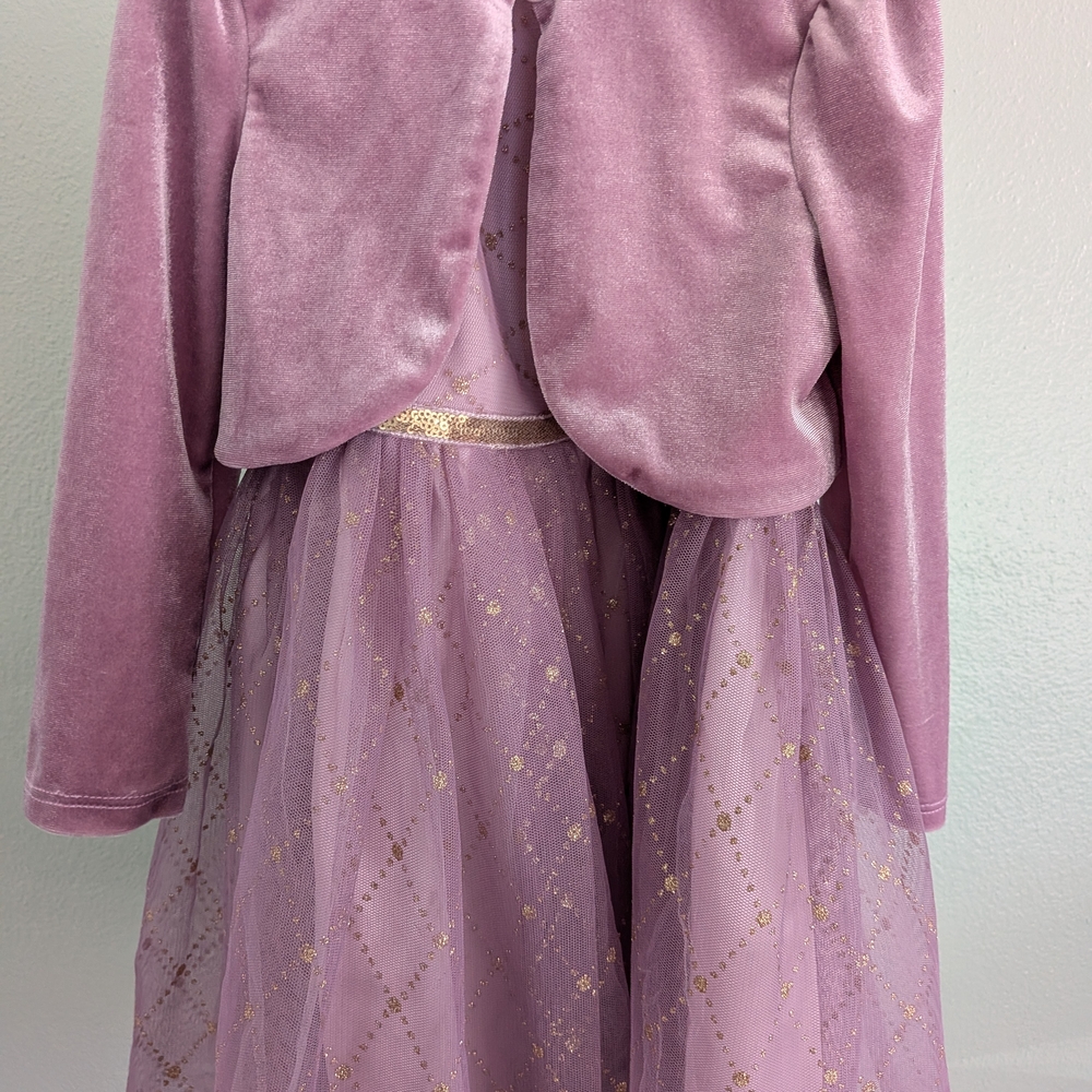 Lilt Pink Velvet Formal Dress for Kids